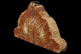Tall, Arizona Petrified Wood Bookends - Arizona #180249-1